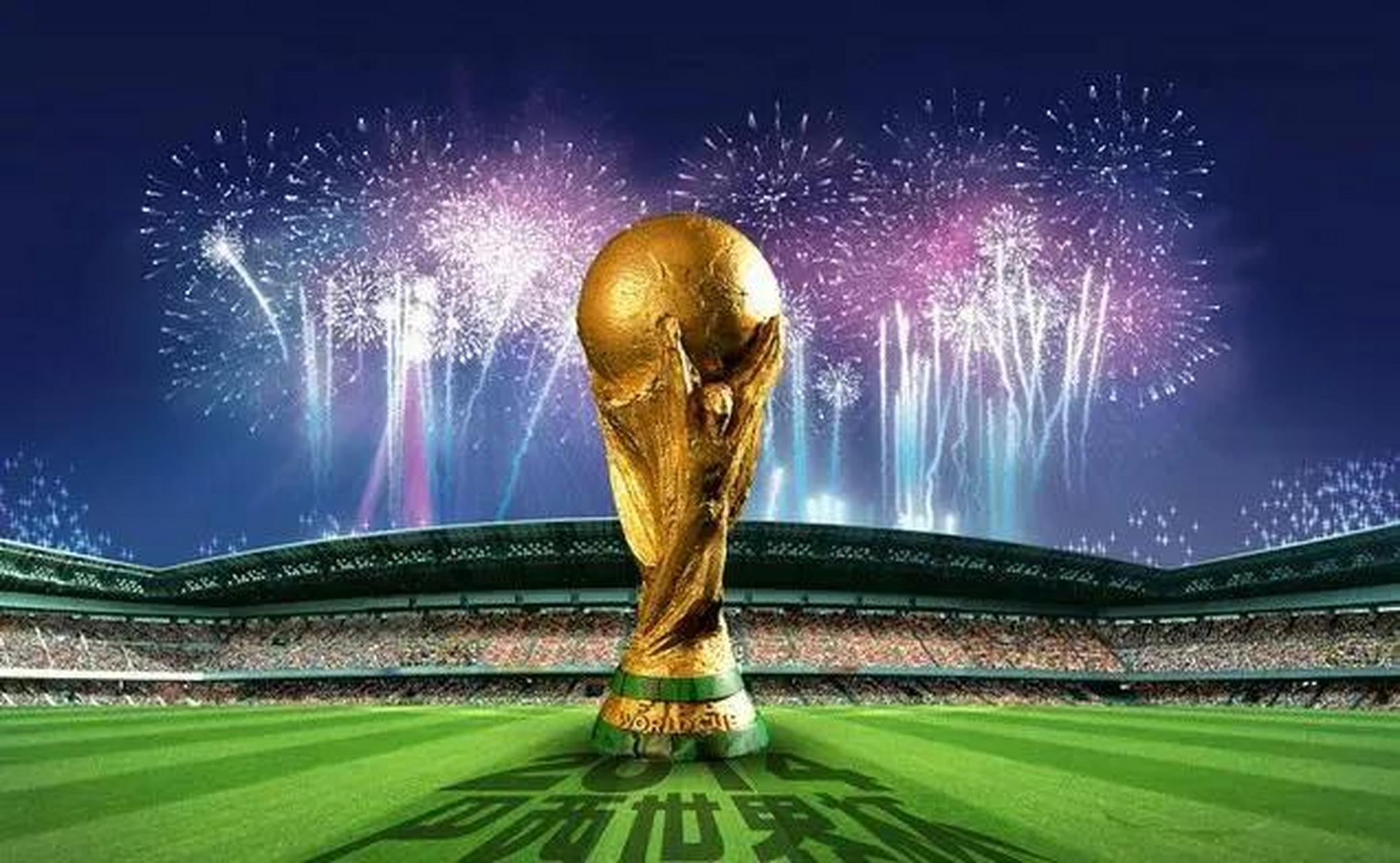 具备专业的 具备专业的