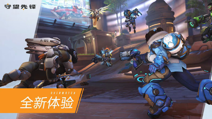 适应既定战 适应既定战