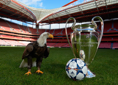 力的多面手 力的多面手